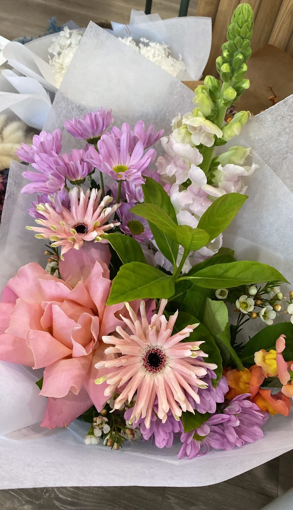 Lucky Bunch