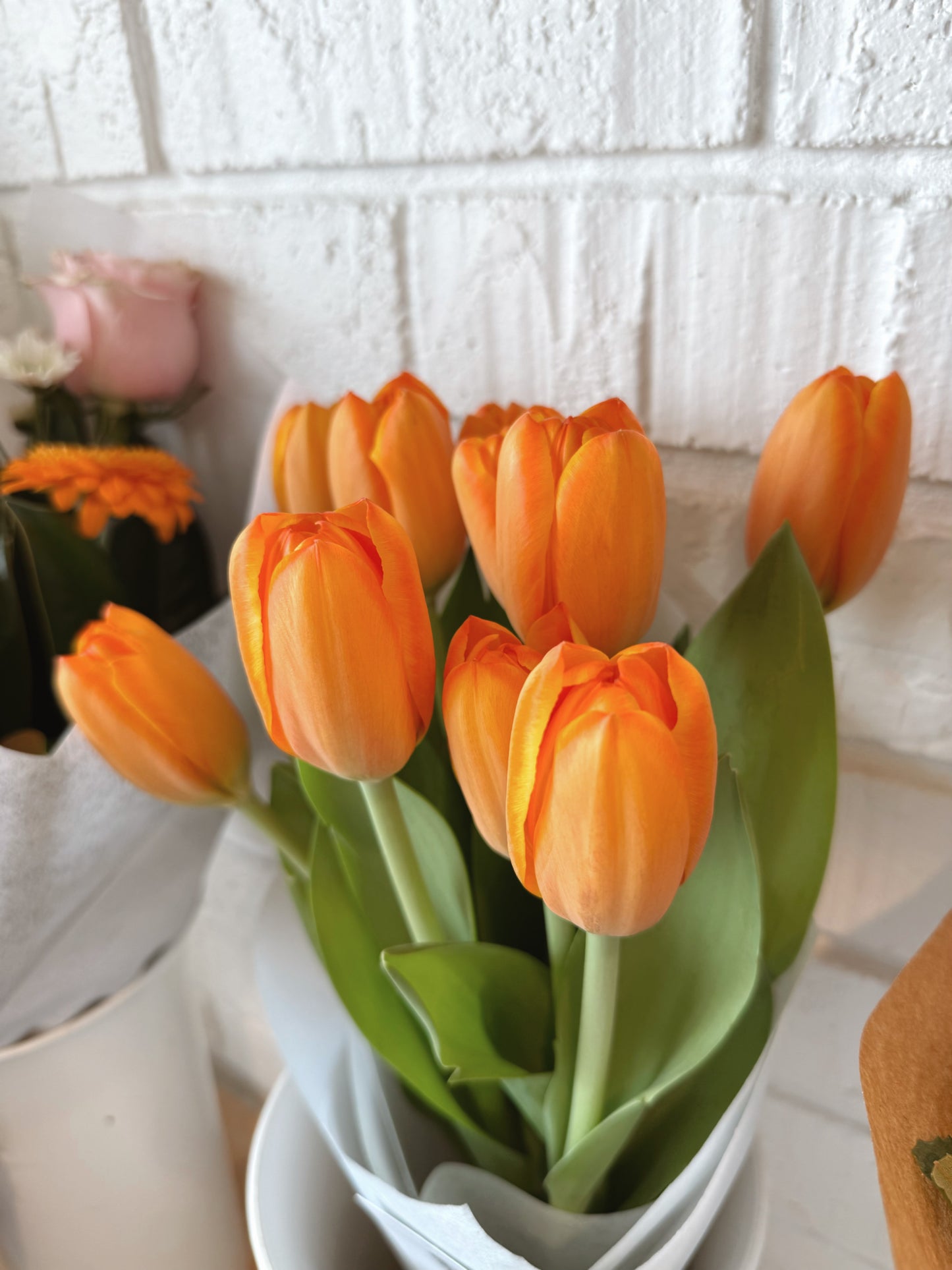 Tulips