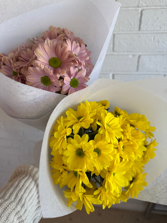 Chrysanthemum Bunch