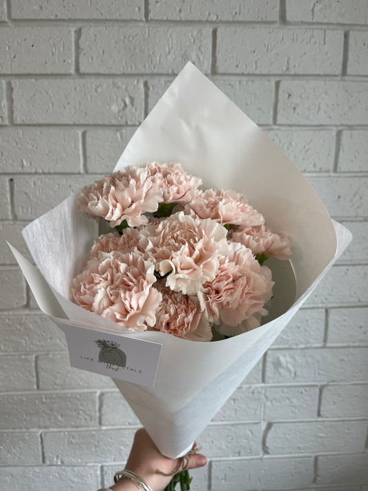 Carnations