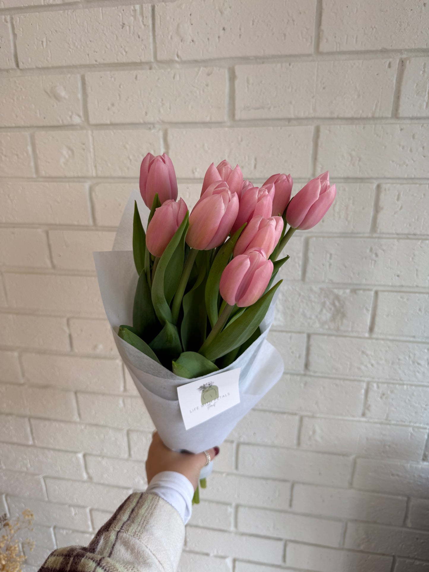 Tulips